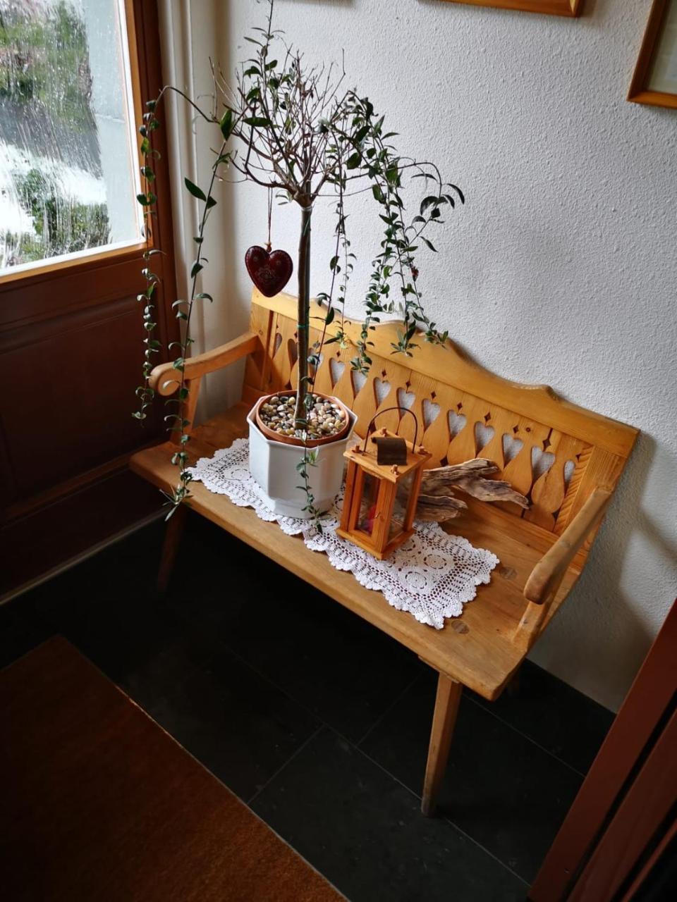 Hotel - Pension Scheiblechner 거스텔링안더얍스 외부 사진